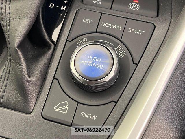 Toyota RAV4 2021-04 7252095-4