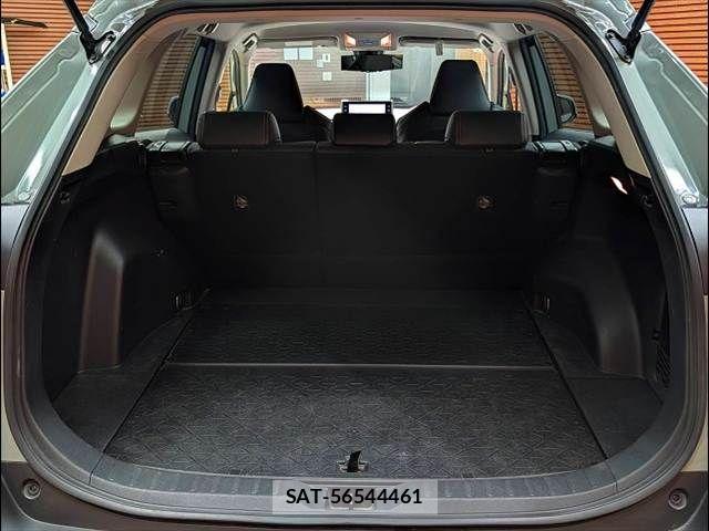 Toyota RAV4 2021-04 7250046-19