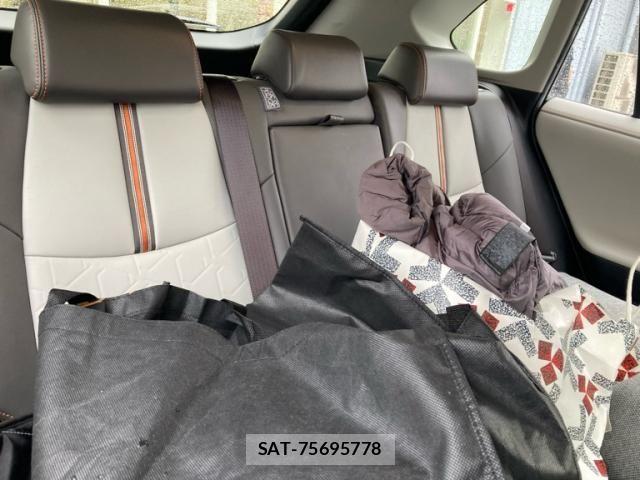 Toyota RAV4 2019-08 7252102-13