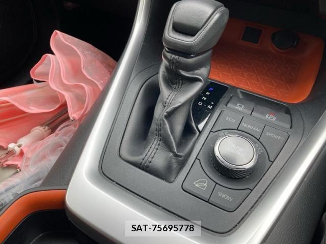 Toyota RAV4 2019-08 7252102-21