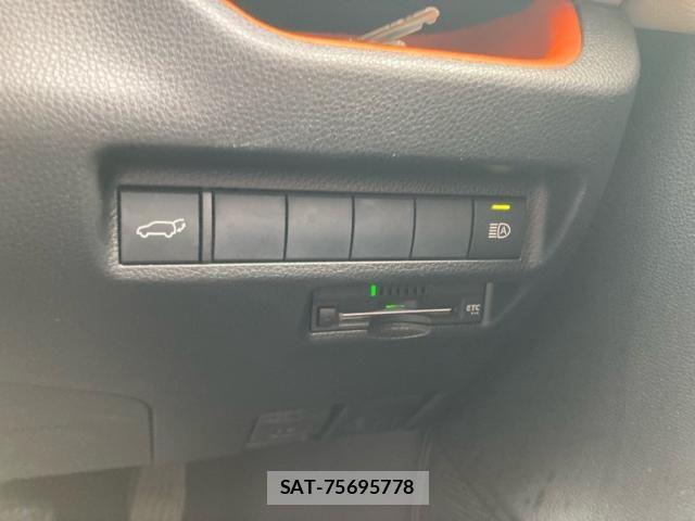 Toyota RAV4 2019-08 7252102-22