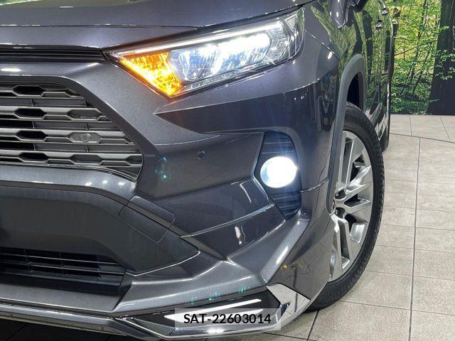 Toyota RAV4 2019-11 7272806-13