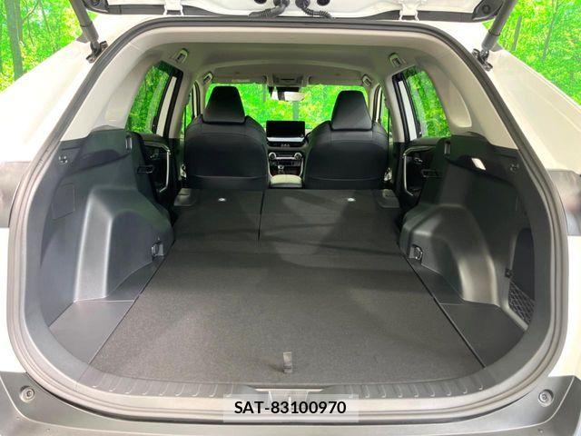 Toyota RAV4 2024-08 7359518-11