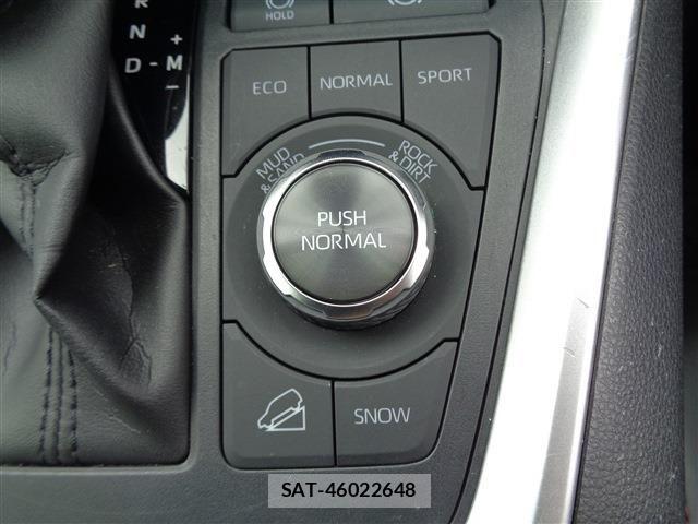 Toyota RAV4 2022-10 7879100-28