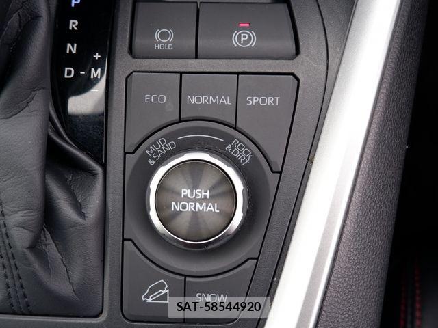 Toyota RAV4 2024-09 7879087-16