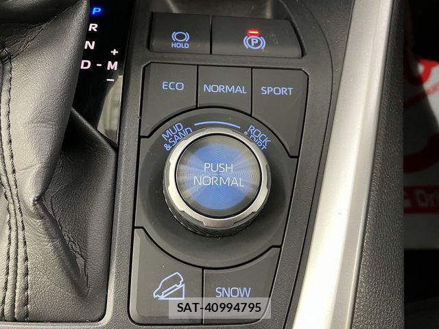 Toyota RAV4 2020-10 7903294-21