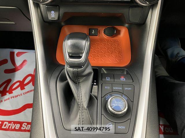 Toyota RAV4 2020-10 7903294-22