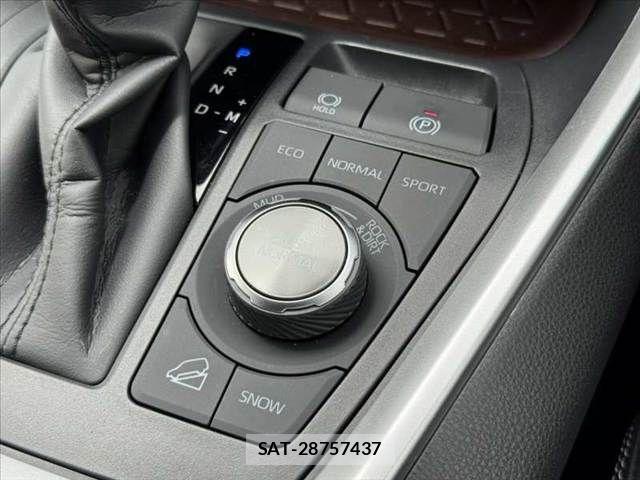 Toyota RAV4 2025-04 8037873-25