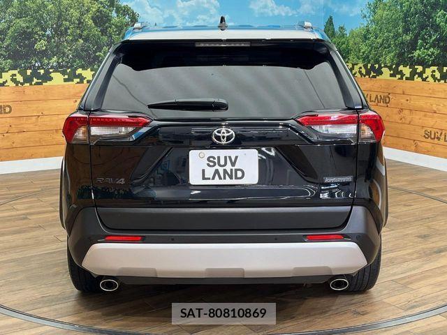 Toyota RAV4 2020-08 8075315-16