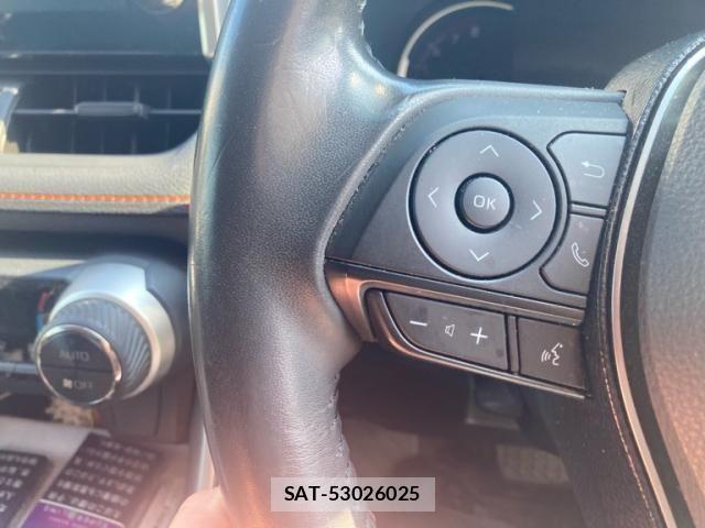Toyota RAV4 2020-08 8075313-13