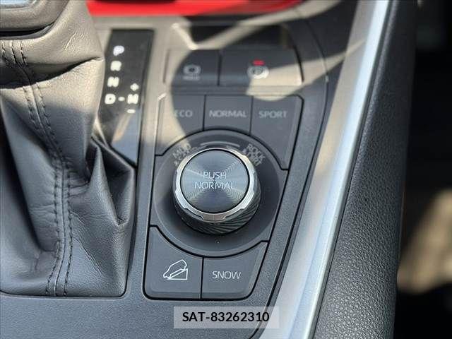 Toyota RAV4 2023-07 8101508-25