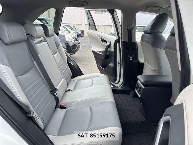 Toyota RAV4 2019-07 8101539-12
