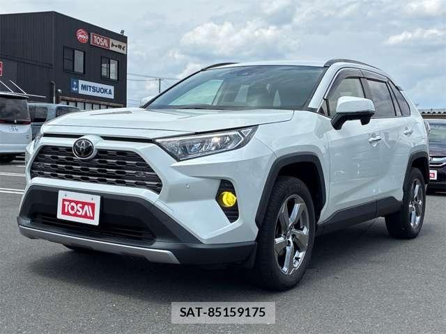 Toyota RAV4 2019-07 8101539-19