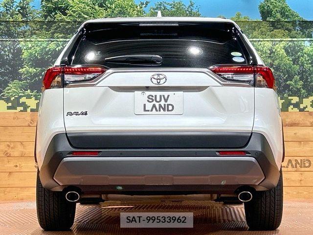 Toyota RAV4 2019-07 8101523-13