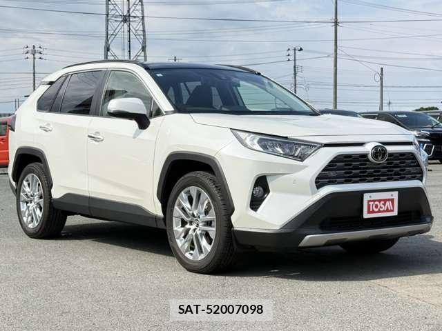 Toyota RAV4 2019-07 8101520-19