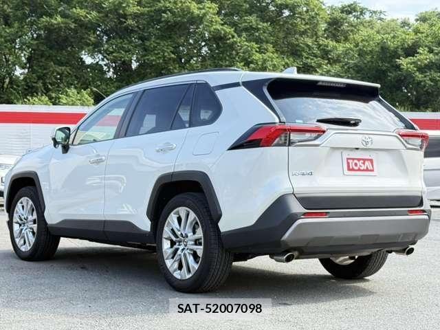 Toyota RAV4 2019-07 8101520-24