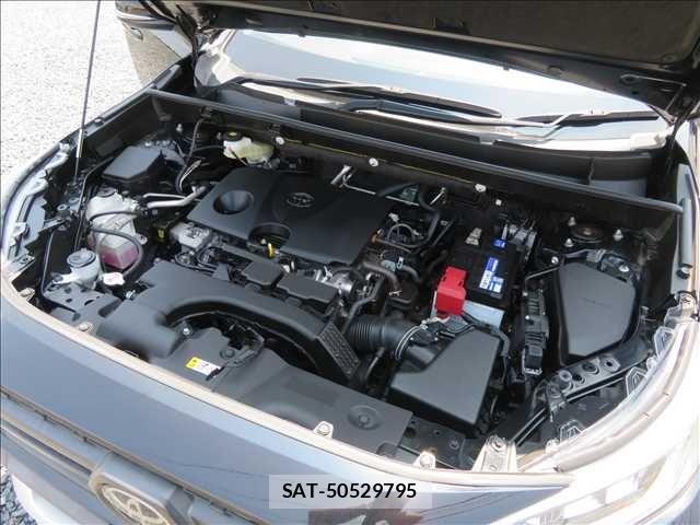 Toyota RAV4 2019-07 8132057-19