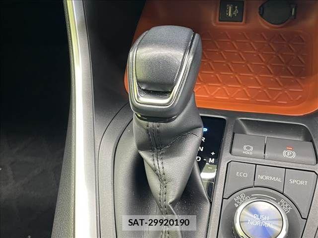 Toyota RAV4 2023-01 8209794-17