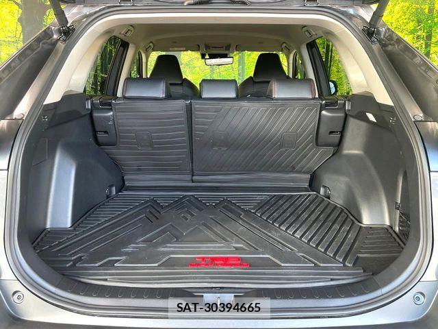Toyota RAV4 2025-09 8209791-10
