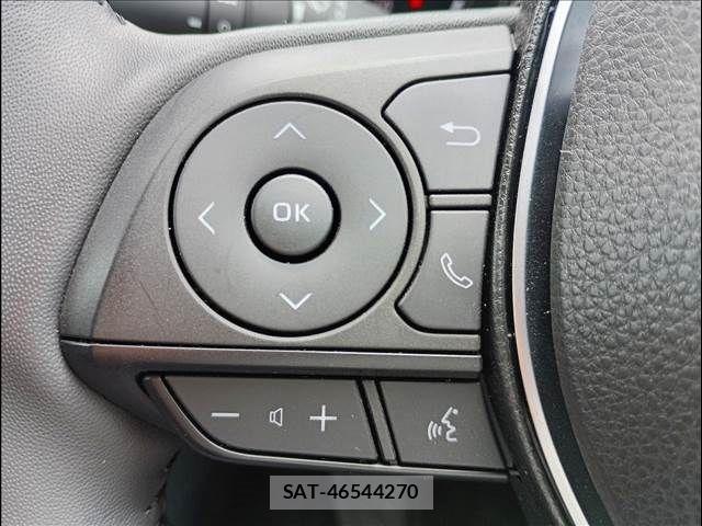 Toyota RAV4 2021-04 8209816-7