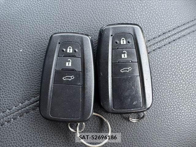 Toyota RAV4 2020-06 8316668-29