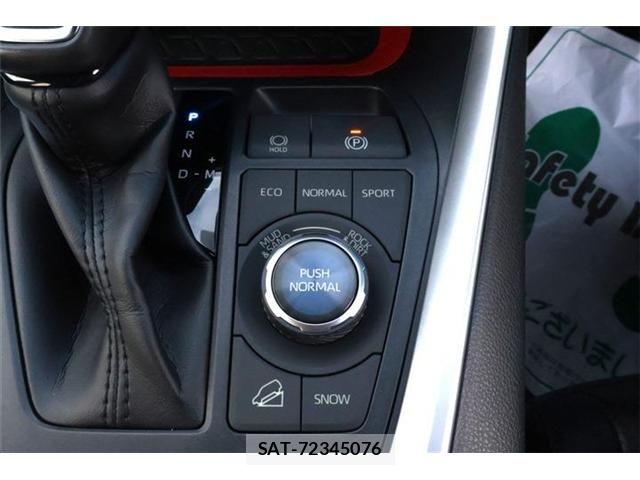 Toyota RAV4 2021-01 8316659-8