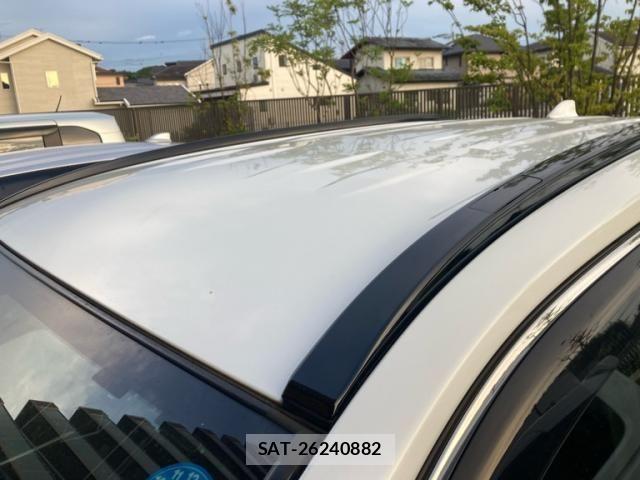 Toyota RAV4 2019-06 8316681-9