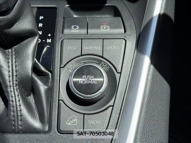 Toyota RAV4 2019-11 8368318-25