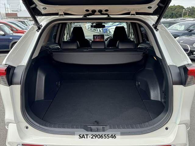 Toyota RAV4 2021-05 8438782-18