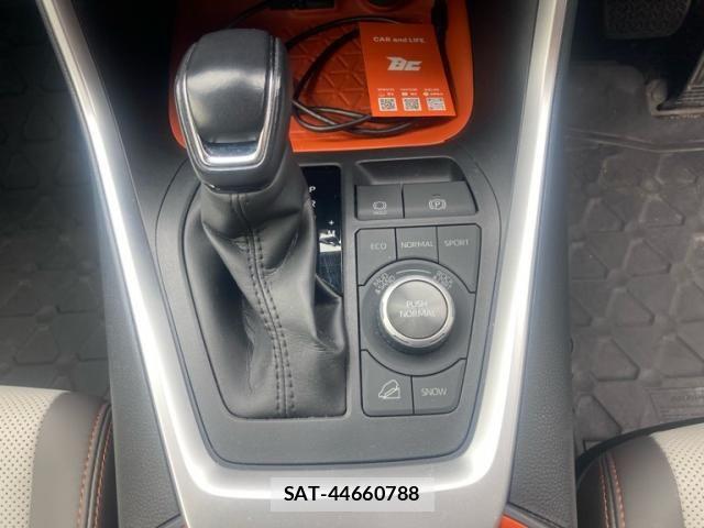 Toyota RAV4 2020-10 8438791-15