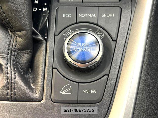Toyota RAV4 2019-12 8458288-6