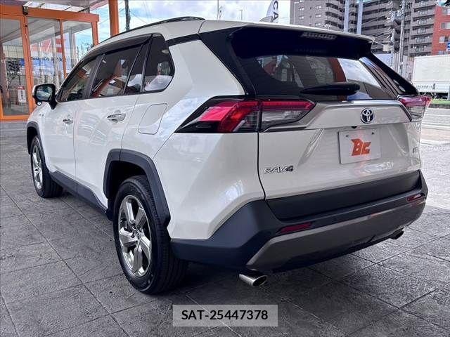 Toyota RAV4 2019-07 8628628-11