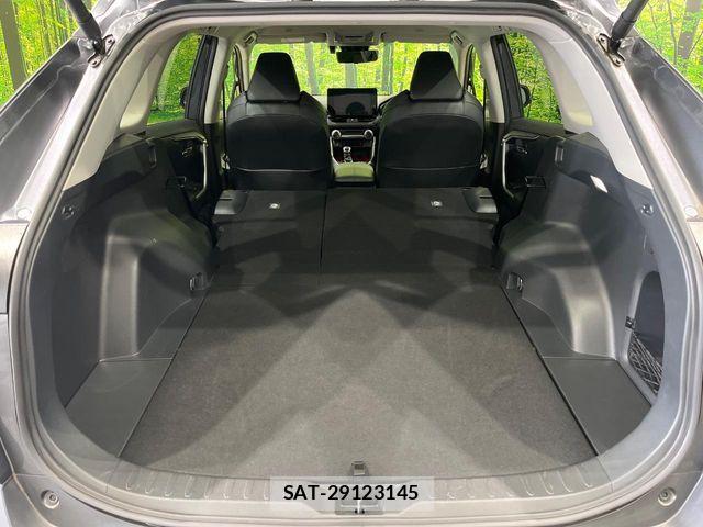 Toyota RAV4 2023-11 8628615-10