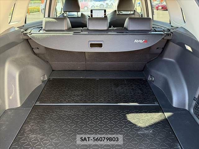 Toyota RAV4 2024-03 8666811-19
