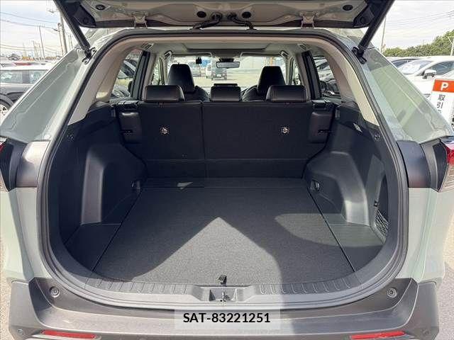 Toyota RAV4 2021-06 8666812-18