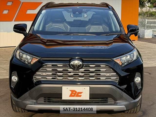 Toyota RAV4 2019-11 8666818-8
