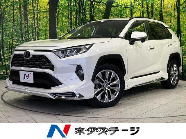 Toyota RAV4 2019-11 8666813-0