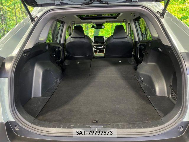 Toyota RAV4 2019-12 8666815-9