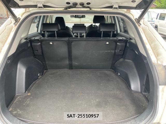 Toyota RAV4 2021-06 8686429-14