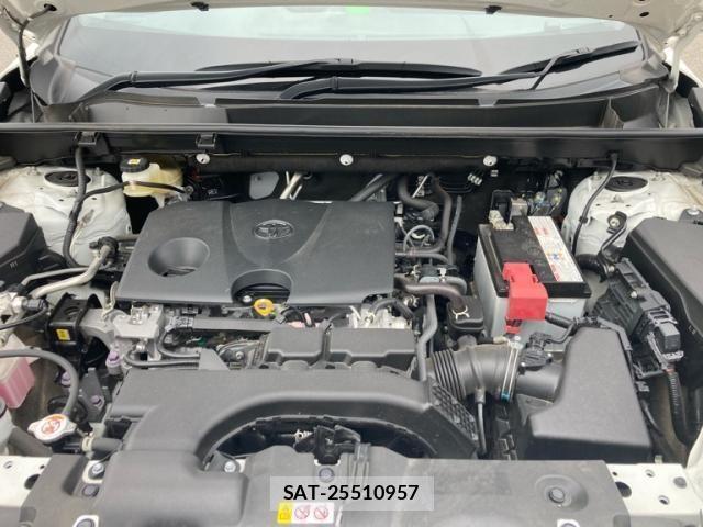 Toyota RAV4 2021-06 8686429-8