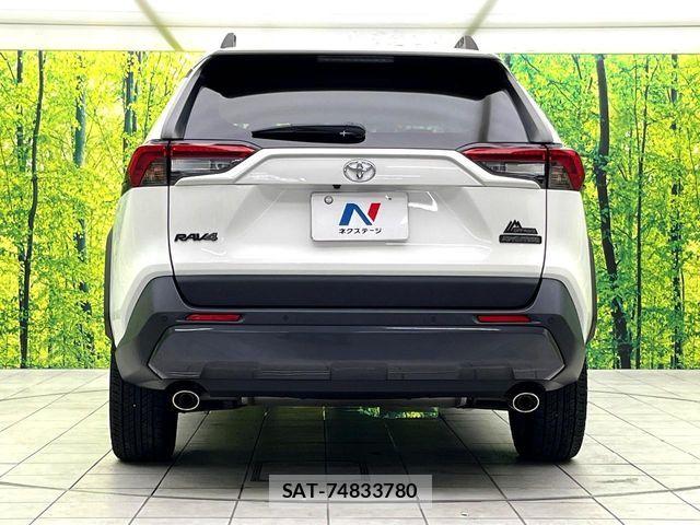 Toyota RAV4 2022-08 8849554-14