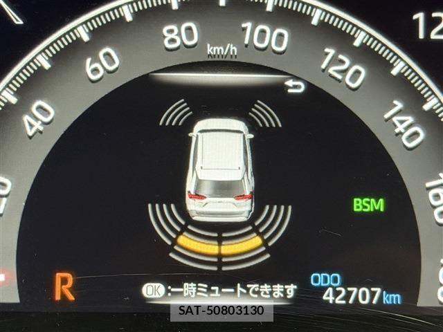 Toyota RAV4 2019-09 8881820-11