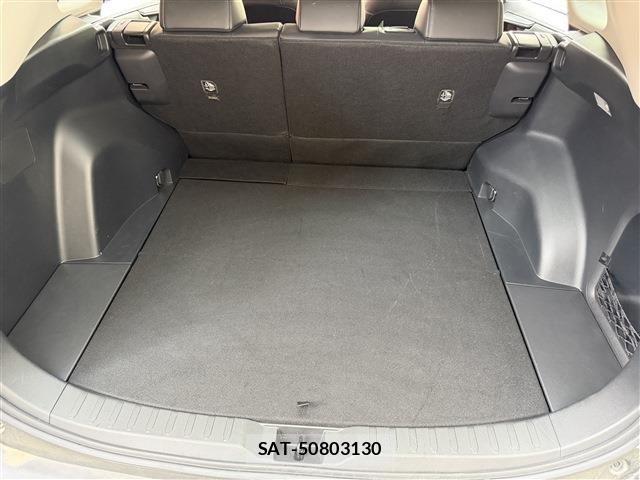 Toyota RAV4 2019-09 8881820-17
