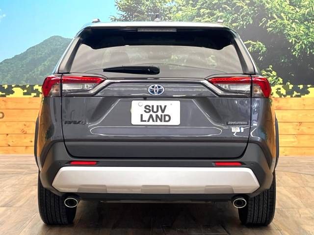 Toyota RAV4 2023-07 465033-15