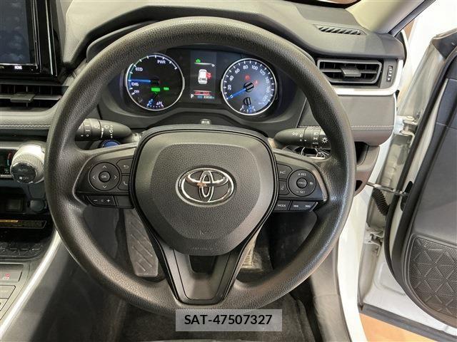 Toyota RAV4 2019-06 6017002-12