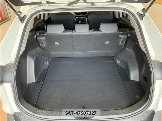 Toyota RAV4 2019-06 6017002-24