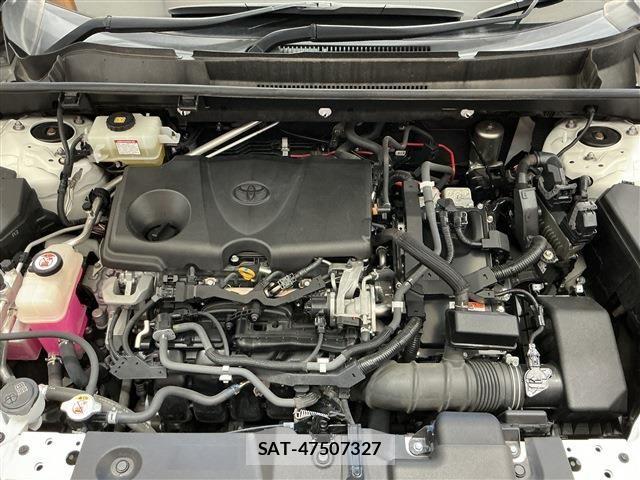 Toyota RAV4 2019-06 6017002-25