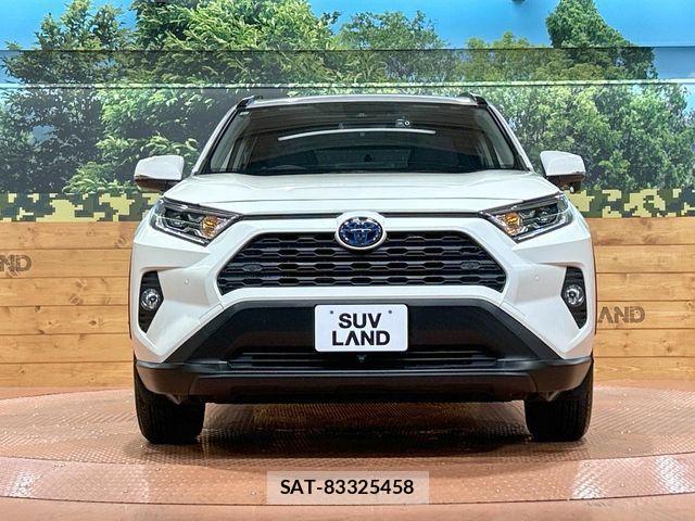 Toyota RAV4 2019-06 6017000-13