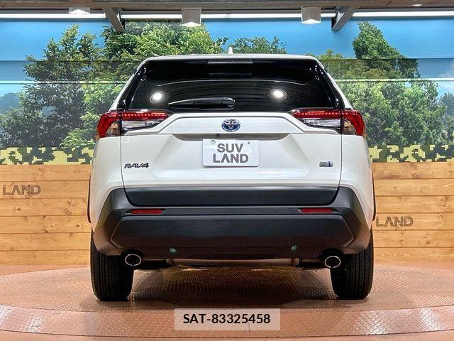 Toyota RAV4 2019-06 6017000-14