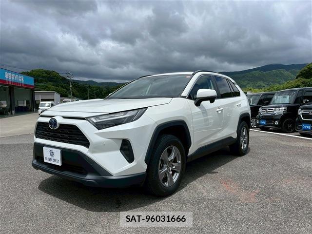 Toyota RAV4 2022-04 7060435-2